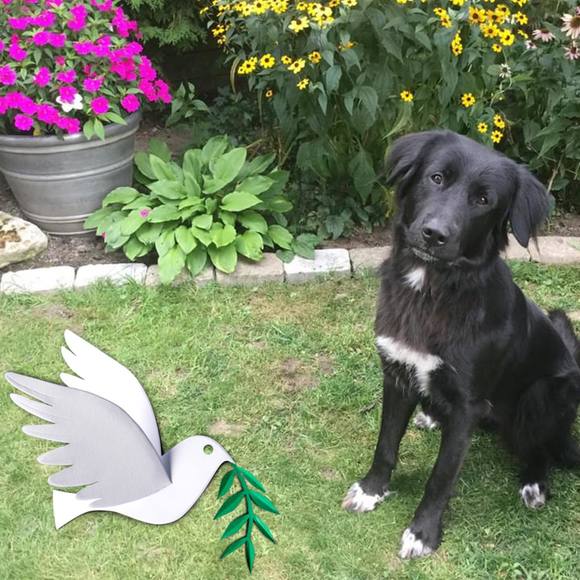 Meet your Posher, Gabriela - Picture 1 of 1